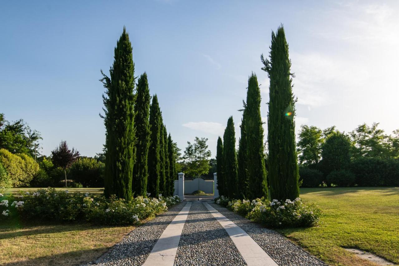 Villa San Pietro Desenzano del Garda Buitenkant foto