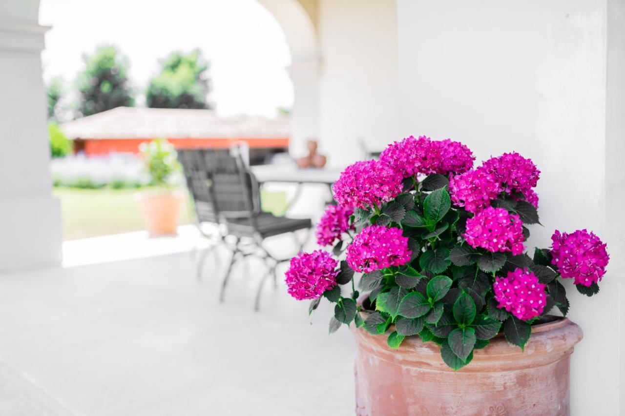 Villa San Pietro Desenzano del Garda Buitenkant foto