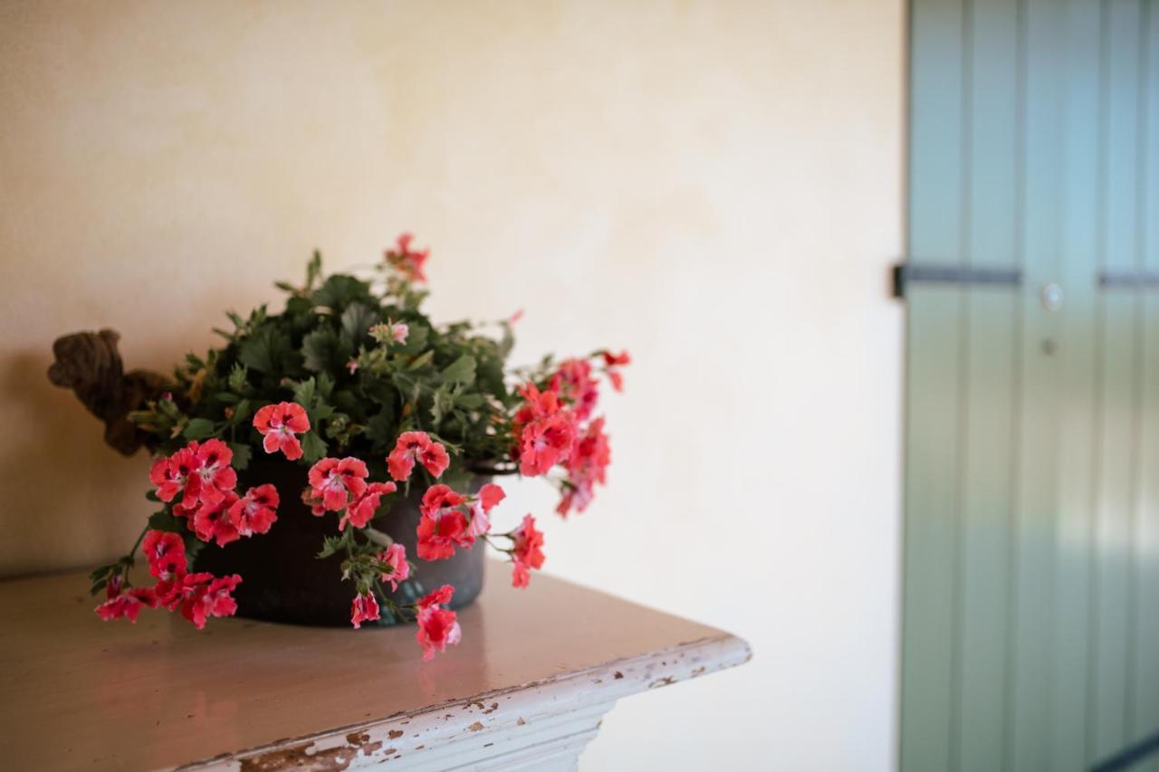 Villa San Pietro Desenzano del Garda Buitenkant foto