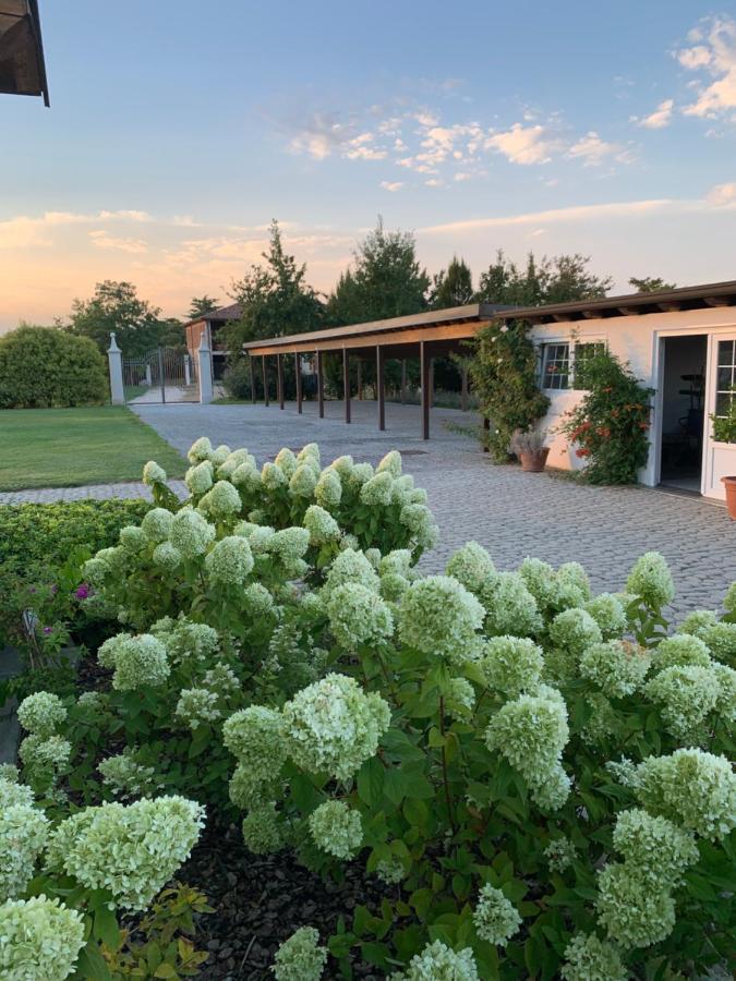Villa San Pietro Desenzano del Garda Buitenkant foto