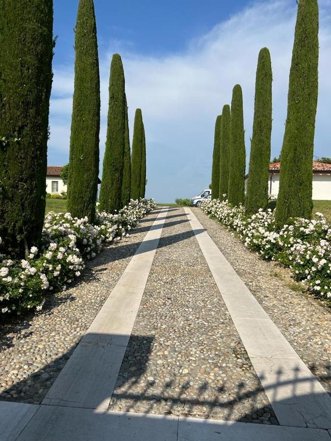 Villa San Pietro Desenzano del Garda Buitenkant foto